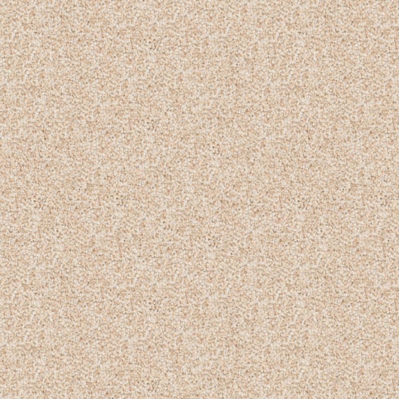 Great Dane carpet by Dixie Home