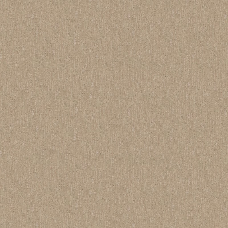 Gratifying carpet by Dixie Home