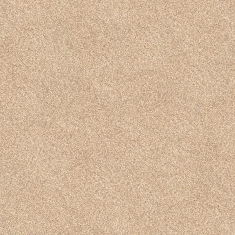 True Comfort carpet by Dixie Home