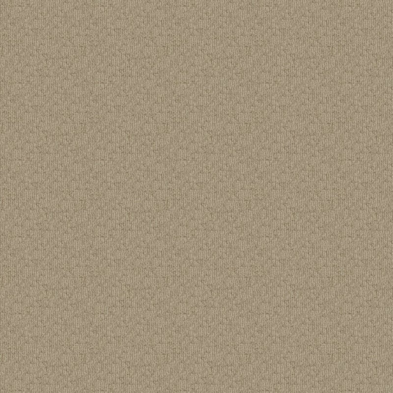 Cape Cod carpet by Dixie Home