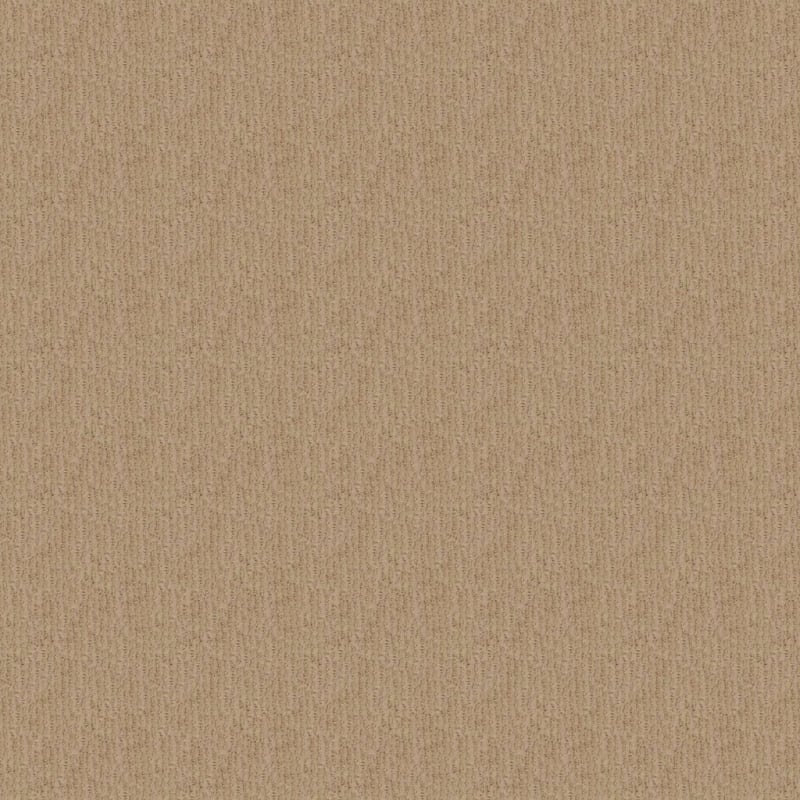 Chez Côte carpet by Fabrica