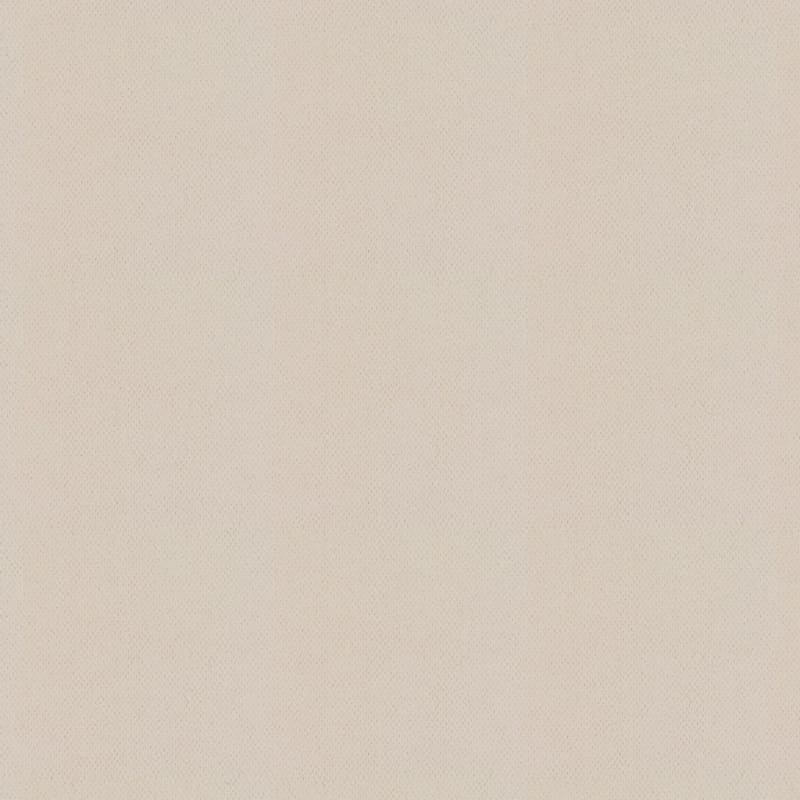 Dx300 carpet by Dixie Home