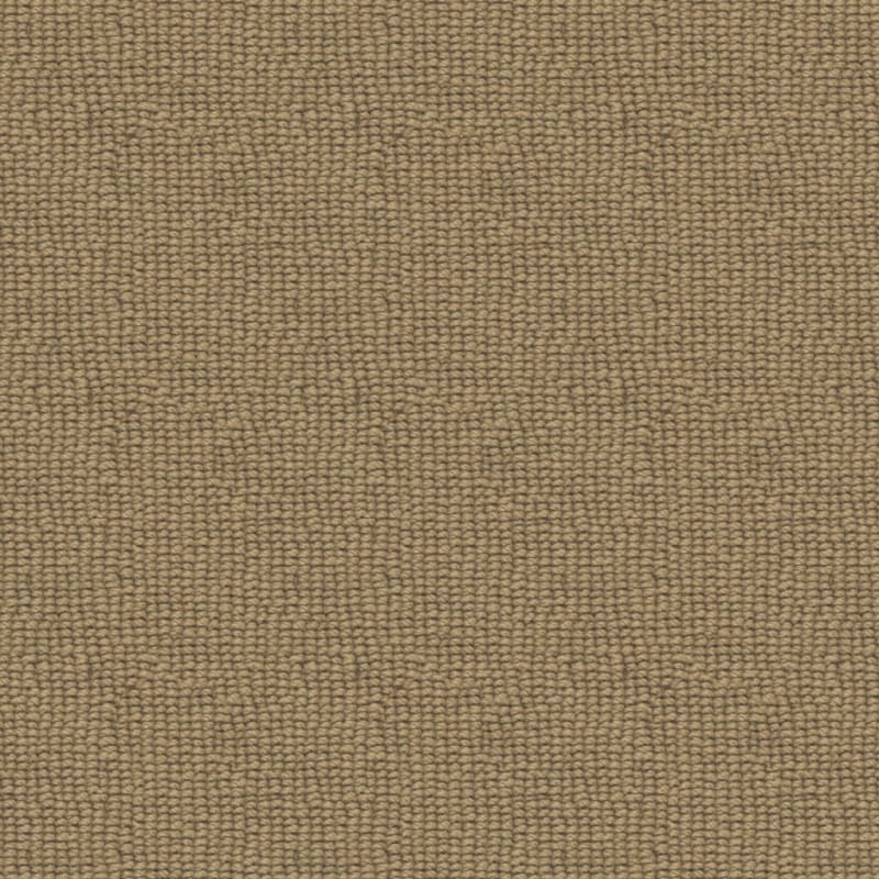 Paragon carpet by Fabrica