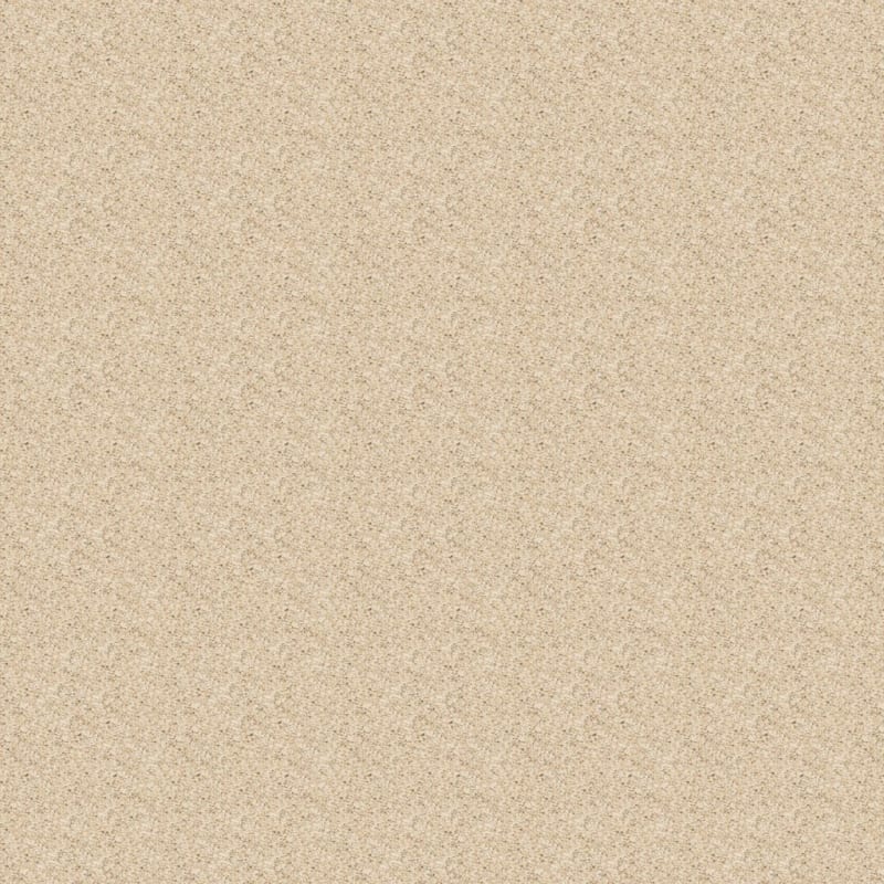 Rochelle carpet by Dixie Home