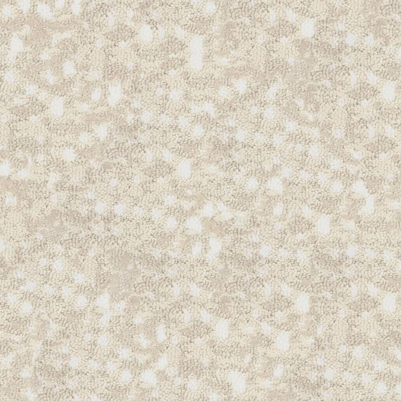 Habitat carpet by Fabrica