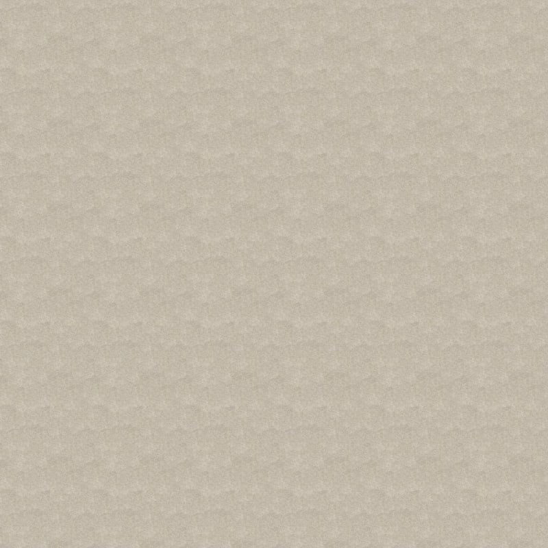 Star Power carpet by Dixie Home