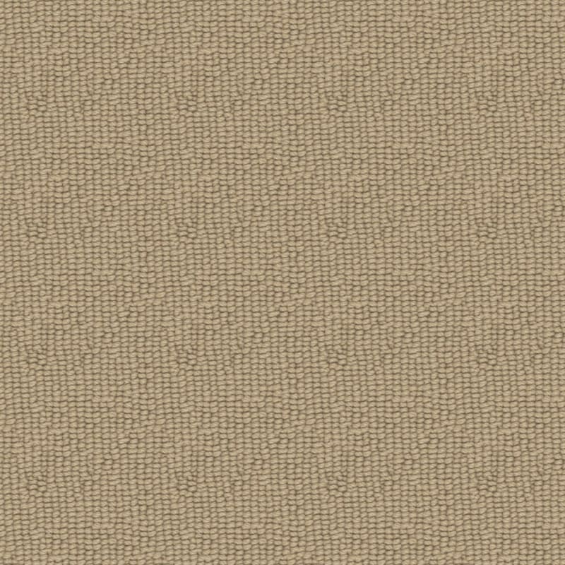 Paragon carpet by Fabrica
