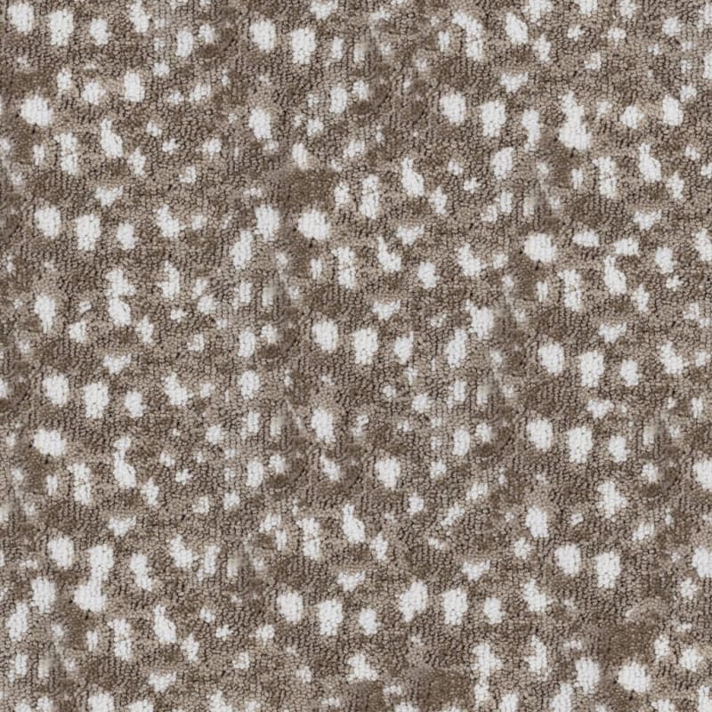 Habitat carpet by Fabrica