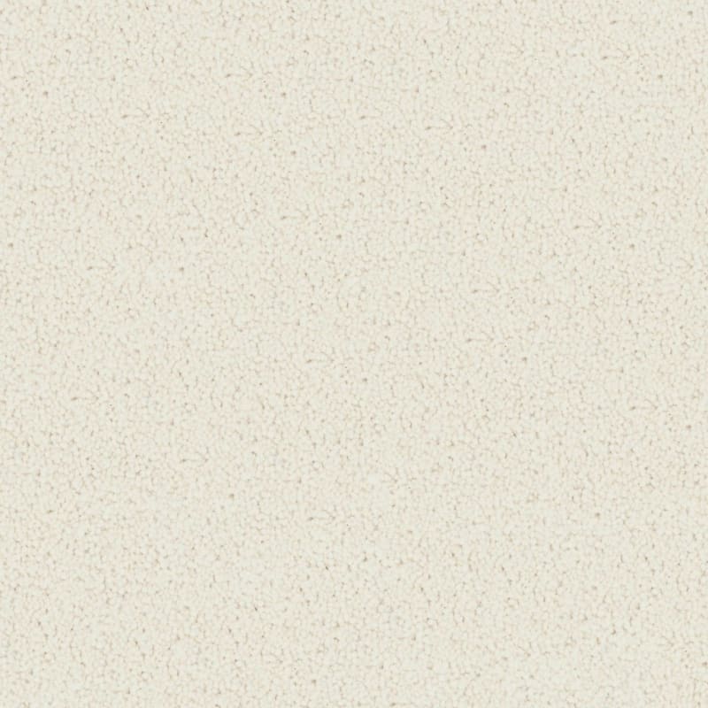 Tribute carpet by Fabrica