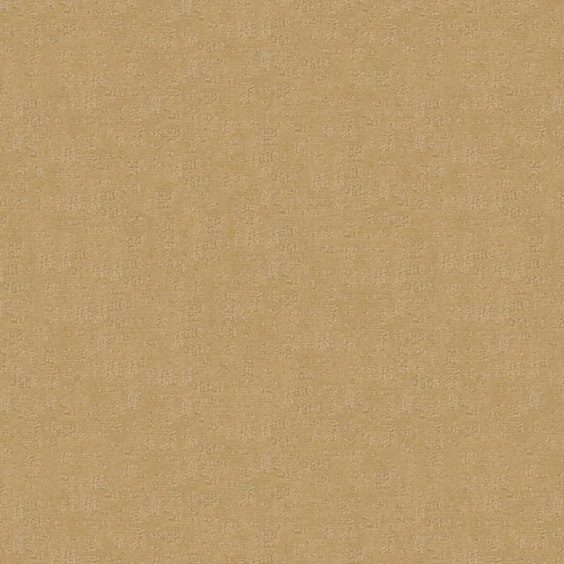 Veranda carpet by Fabrica