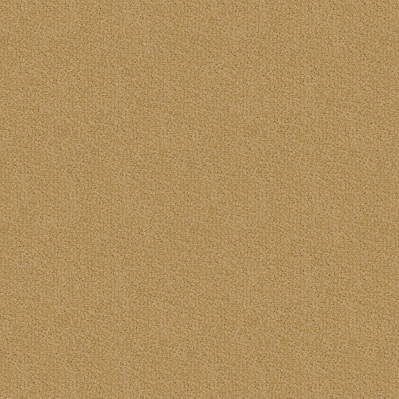 Savant carpet by Fabrica