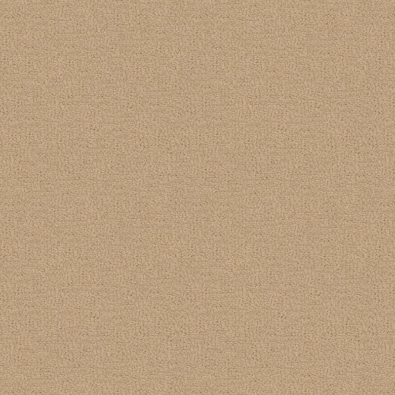 Savant carpet by Fabrica