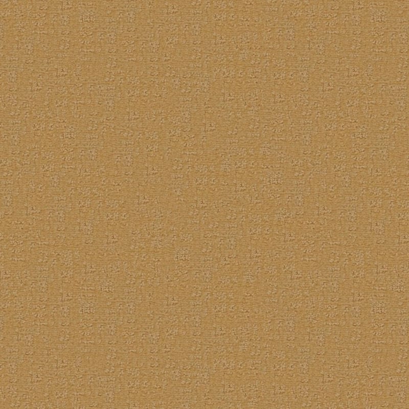 Veranda carpet by Fabrica