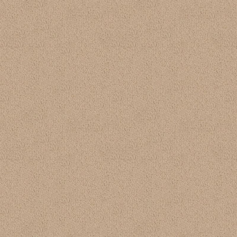Savant carpet by Fabrica