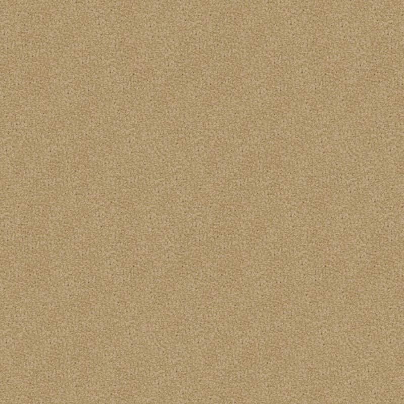 Savant carpet by Fabrica