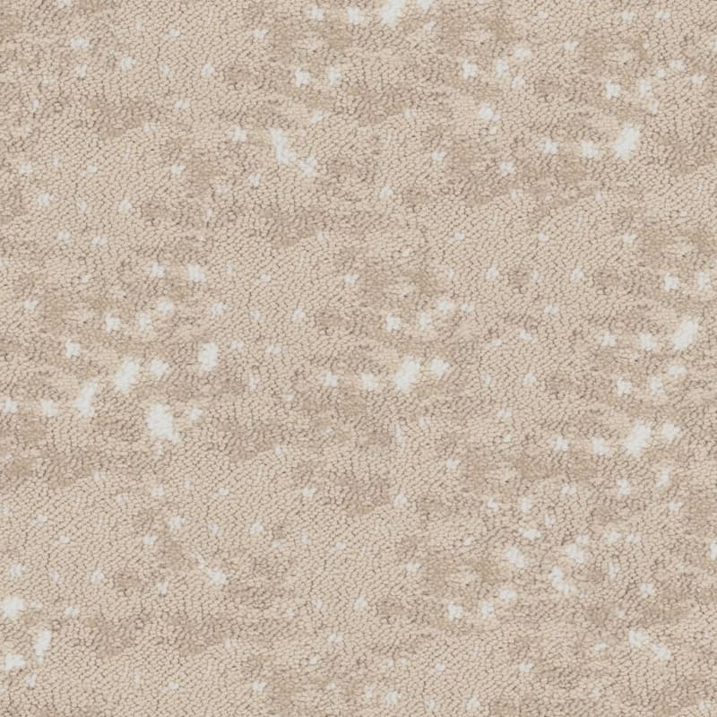 Habitat carpet by Fabrica