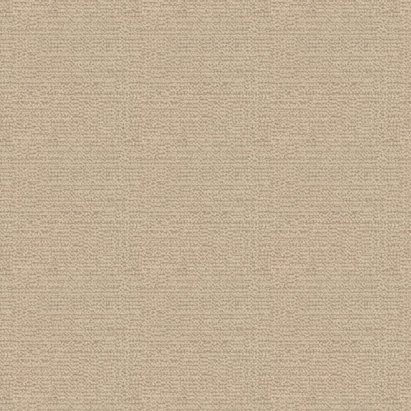 Occasion carpet by Fabrica