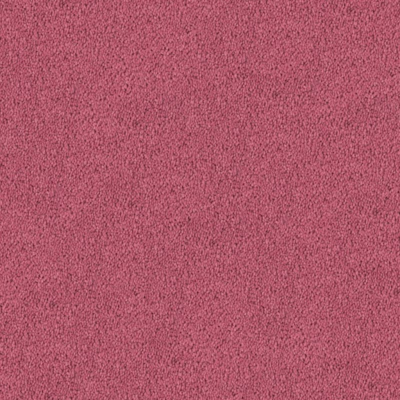 Tribute carpet by Fabrica