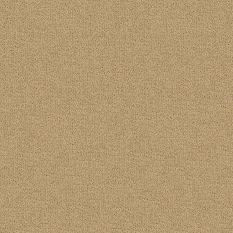 Savant carpet by Fabrica