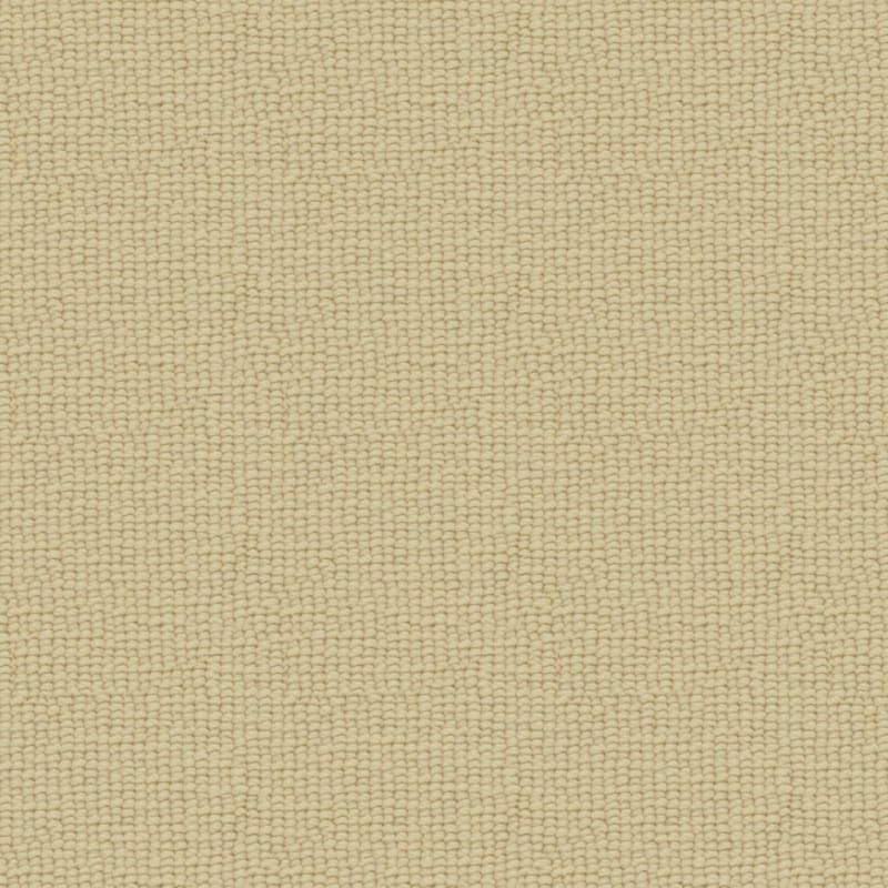 Paragon carpet by Fabrica