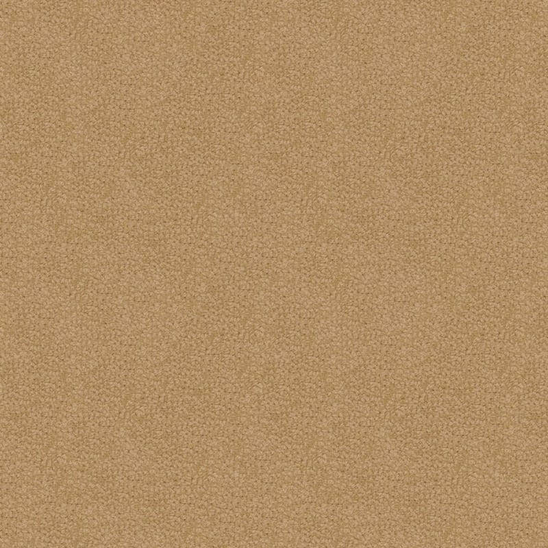 Savant carpet by Fabrica