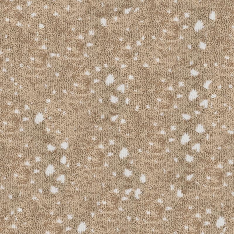 Habitat carpet by Fabrica
