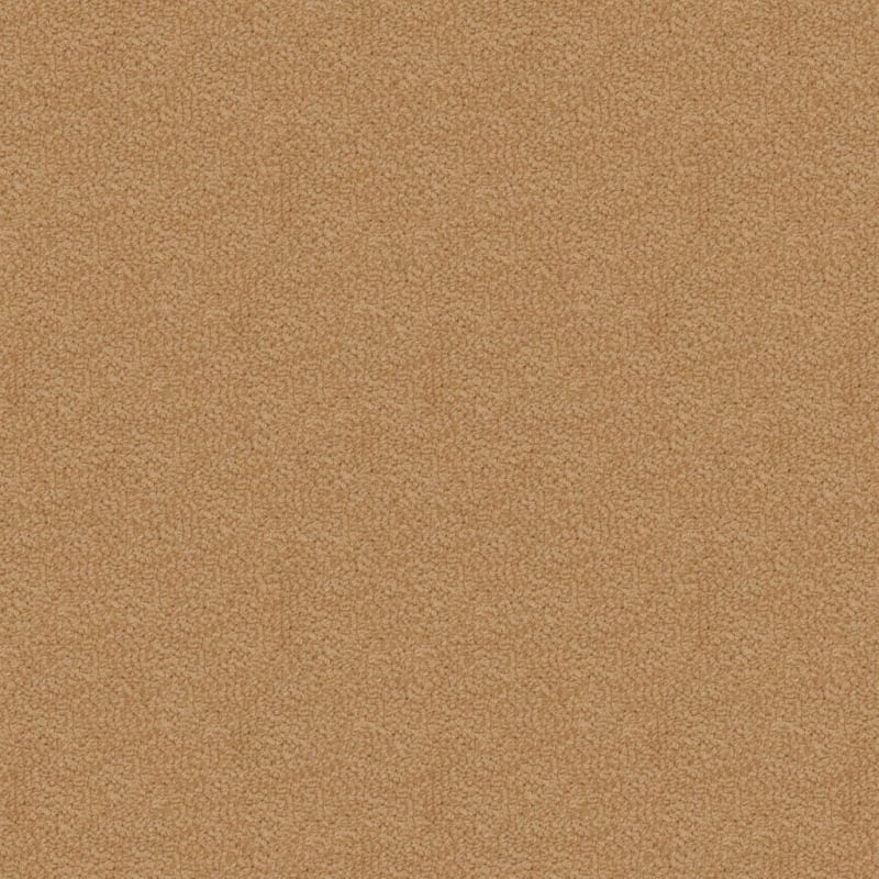 Savant carpet by Fabrica