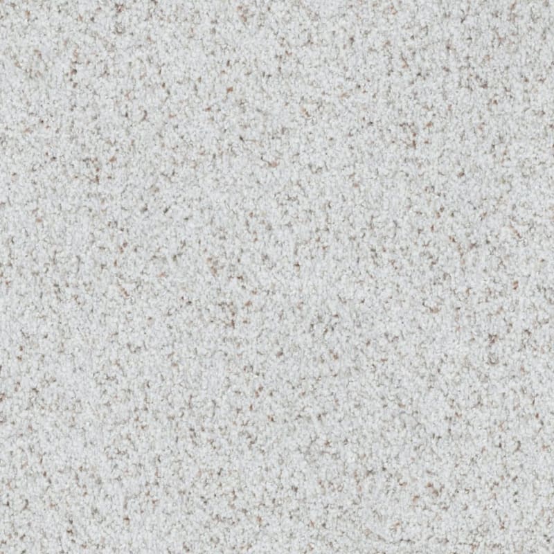St. Augustine carpet by Masland