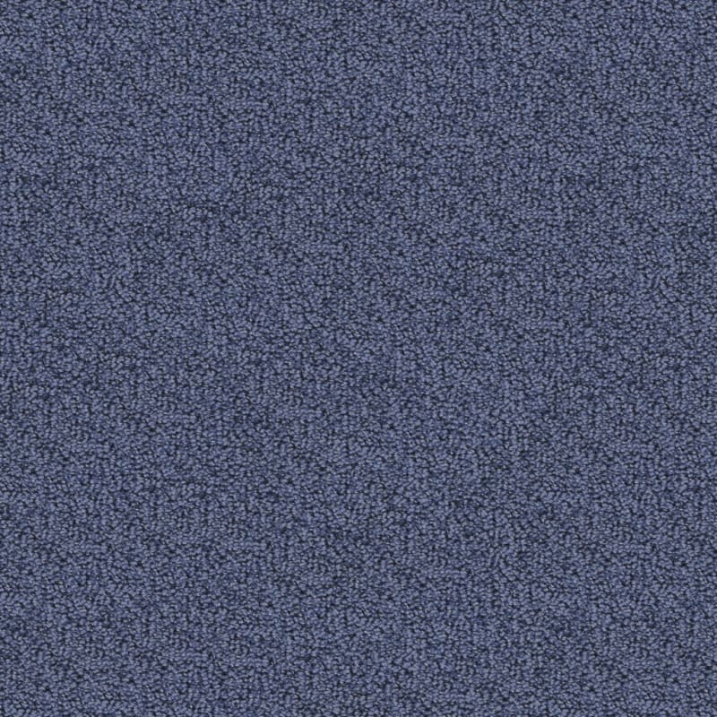 Marina Del Mar carpet by Masland
