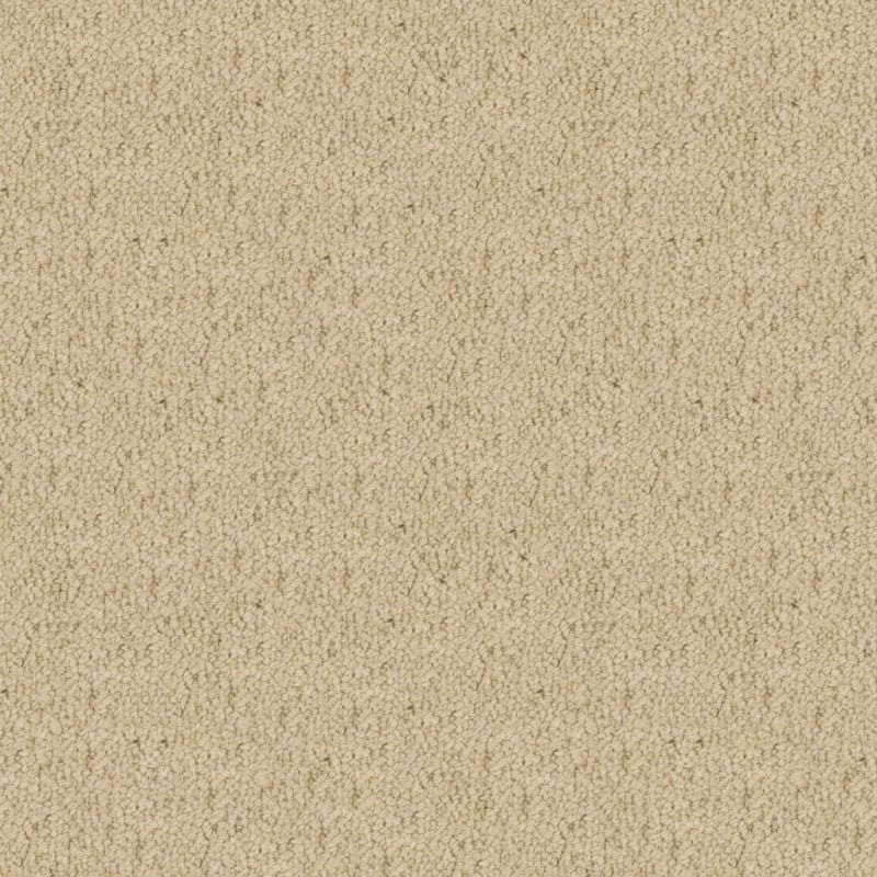 Wexford carpet by Masland