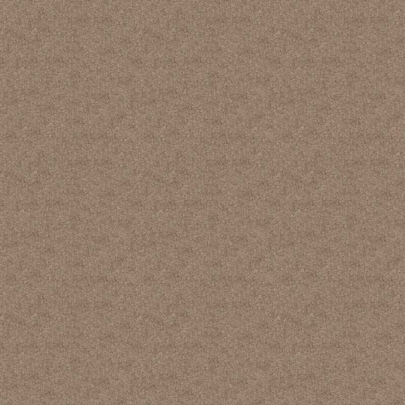 Embrace carpet by Masland