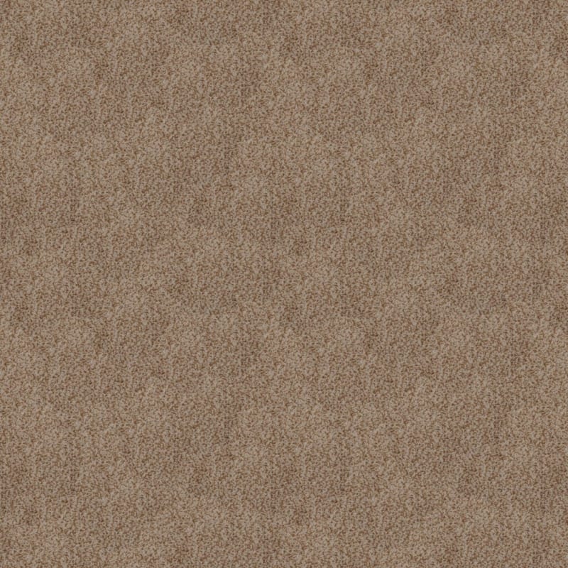 Granique carpet by Masland