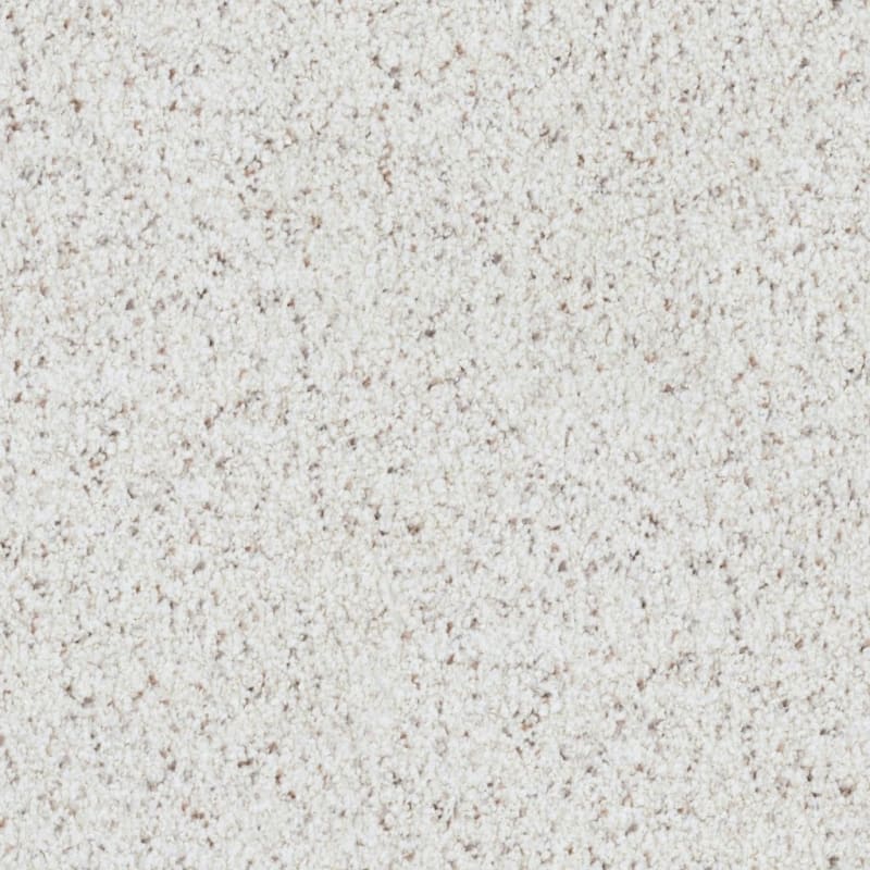 St. Augustine carpet by Masland