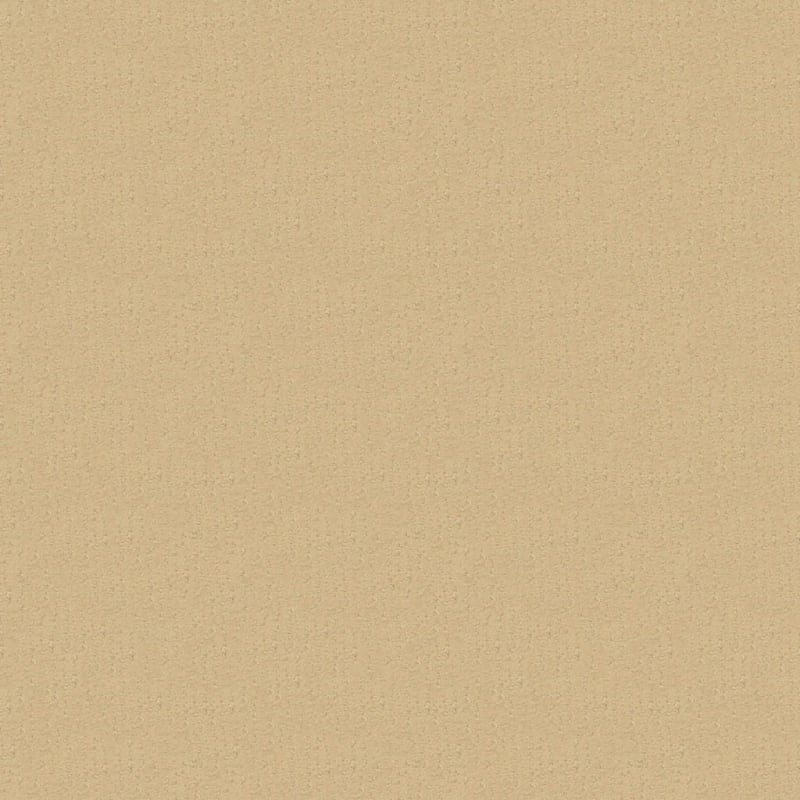 Nature'S Essence carpet by Masland