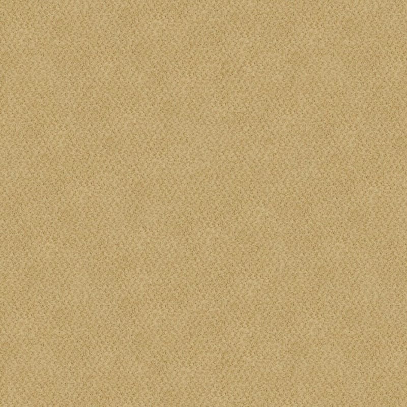 New Hope carpet by Masland