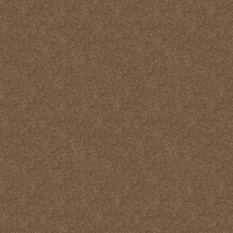Embrace carpet by Masland