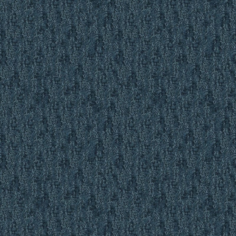 Mesa Verde carpet by Masland