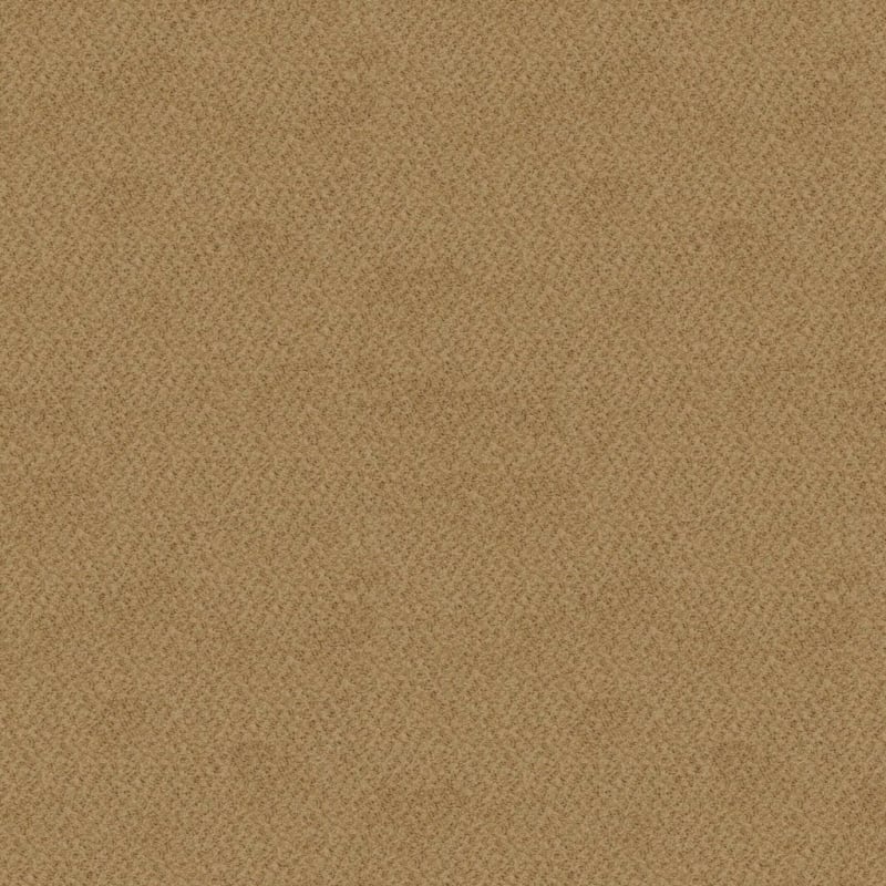 New Hope carpet by Masland