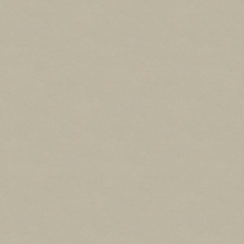 Silk Touch carpet by Masland