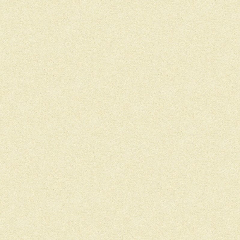 Vero Beach carpet by Masland