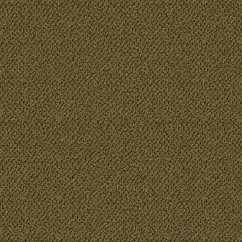 Seurat carpet by Masland