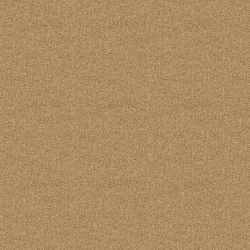 Miami carpet by Masland