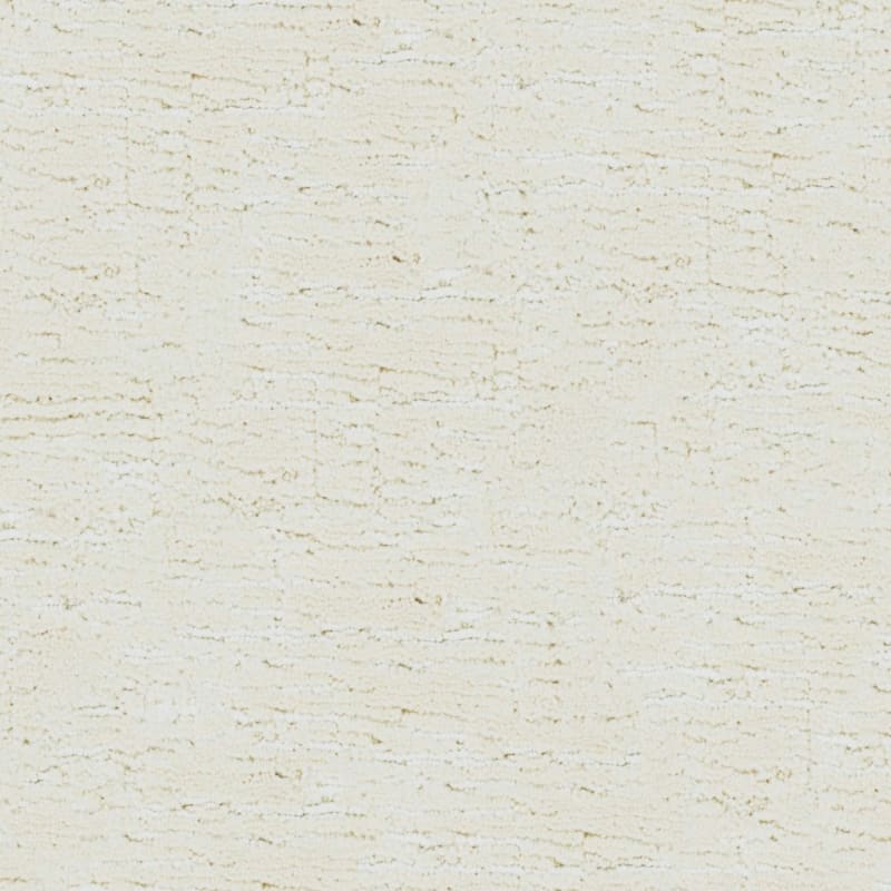 Sequoia carpet by Masland