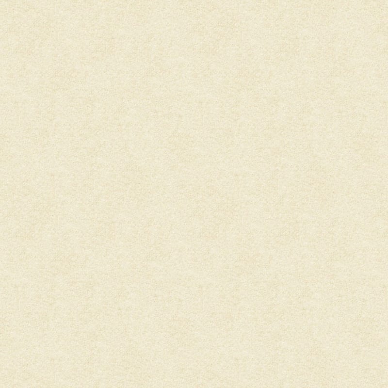 Vero Beach carpet by Masland