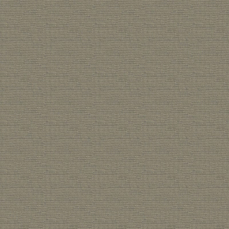 Tango carpet by Masland