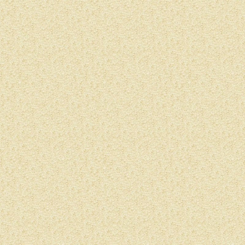 Delray carpet by Masland