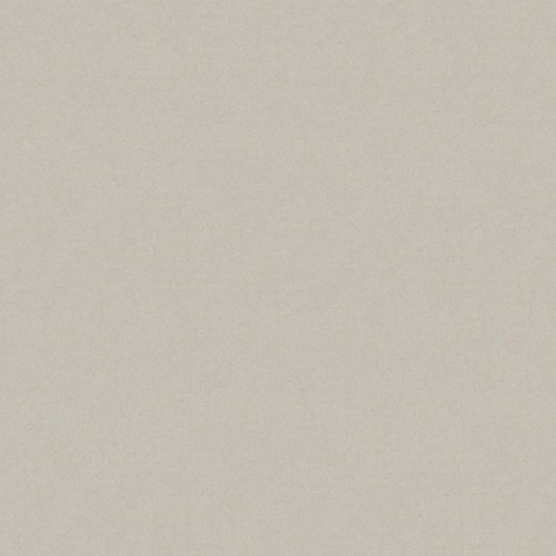 Silk Touch carpet by Masland