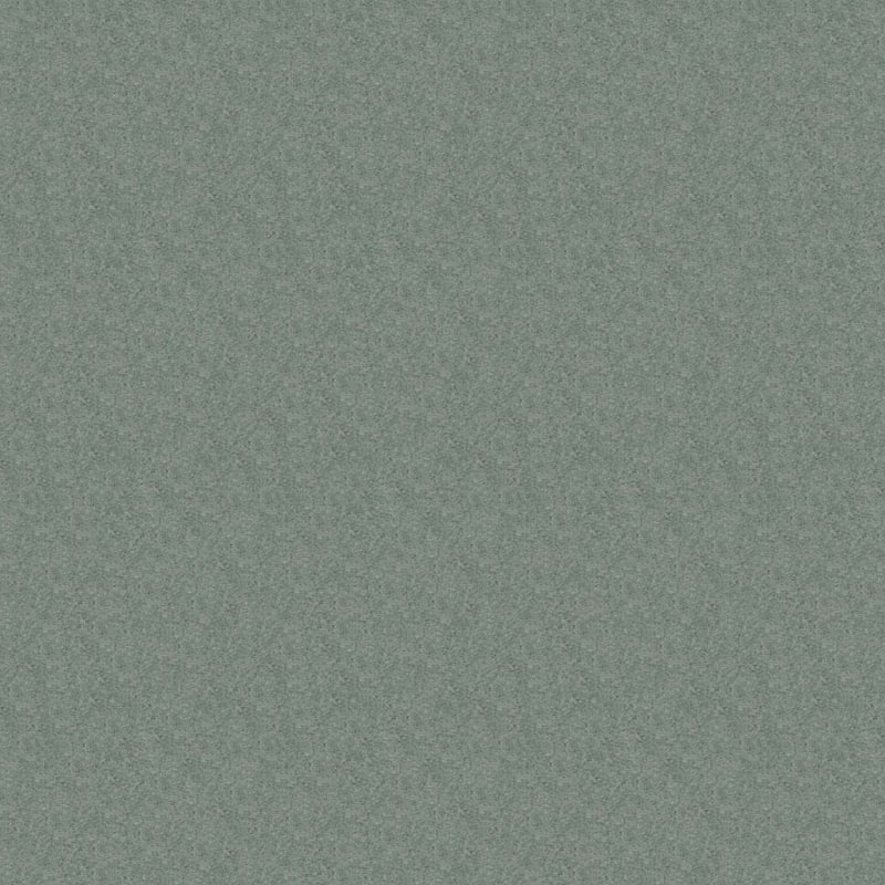 Embrace carpet by Masland