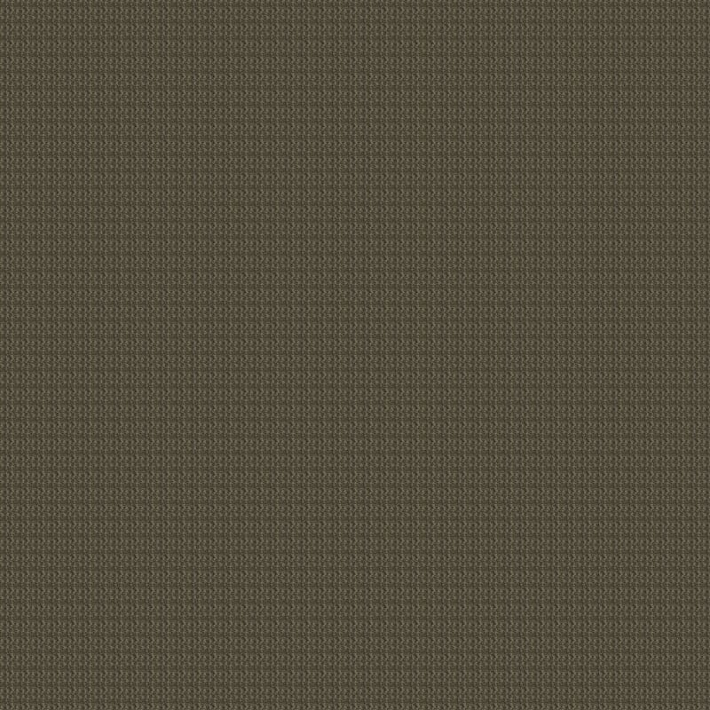 Sisaltex carpet by Masland