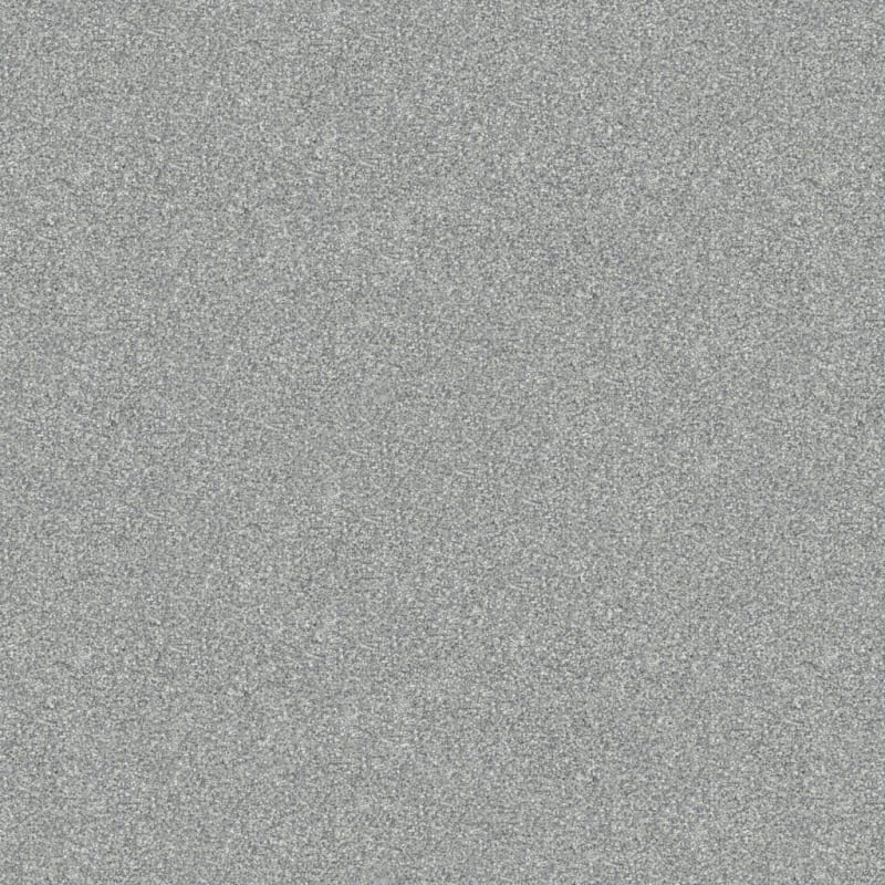 Tracker carpet by Masland